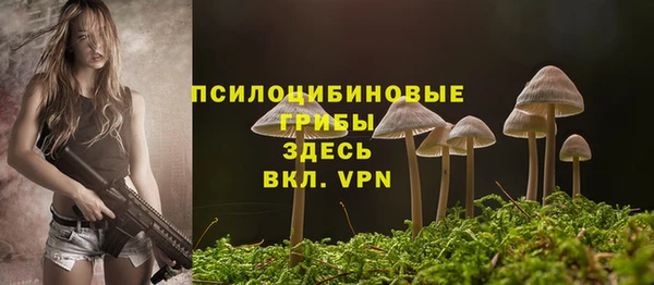прущий лед Балахна